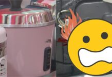 慎入!電鍋拆開驚見「整坨小強屍體」她崩潰了