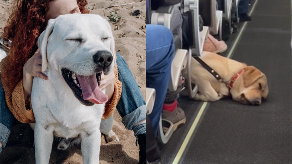 拉拉搭飛機「睡成軟泥霸佔走道」被罵爆!空服員不忍了揭背後洋蔥