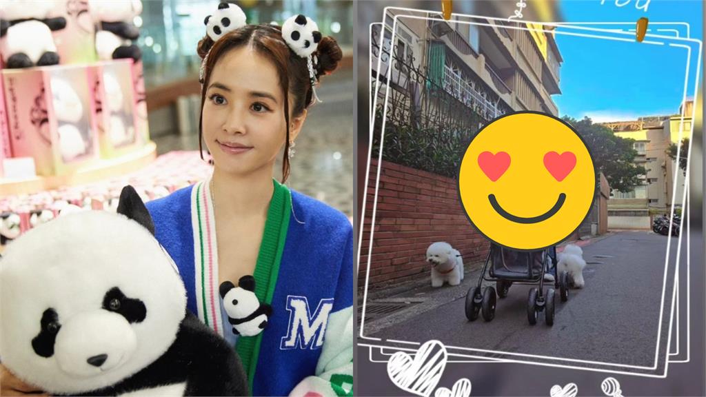 蔡依林「1穿搭」沒人認出!0偽裝「街頭遛狗」全網暴動