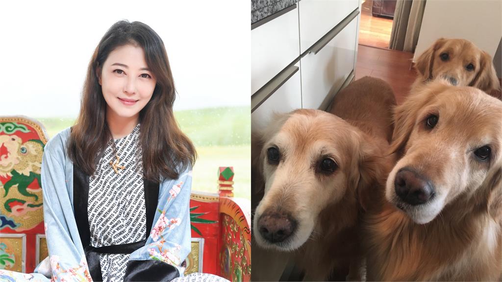 周海媚百坪豪宅曝光!愛犬擁專屬房間、SPA浴缸