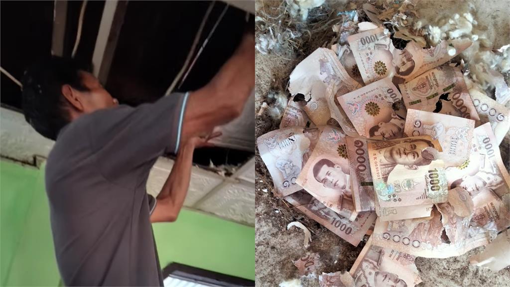 泰國老夫妻3萬現鈔藏天花板!全被「這動物」啃爛