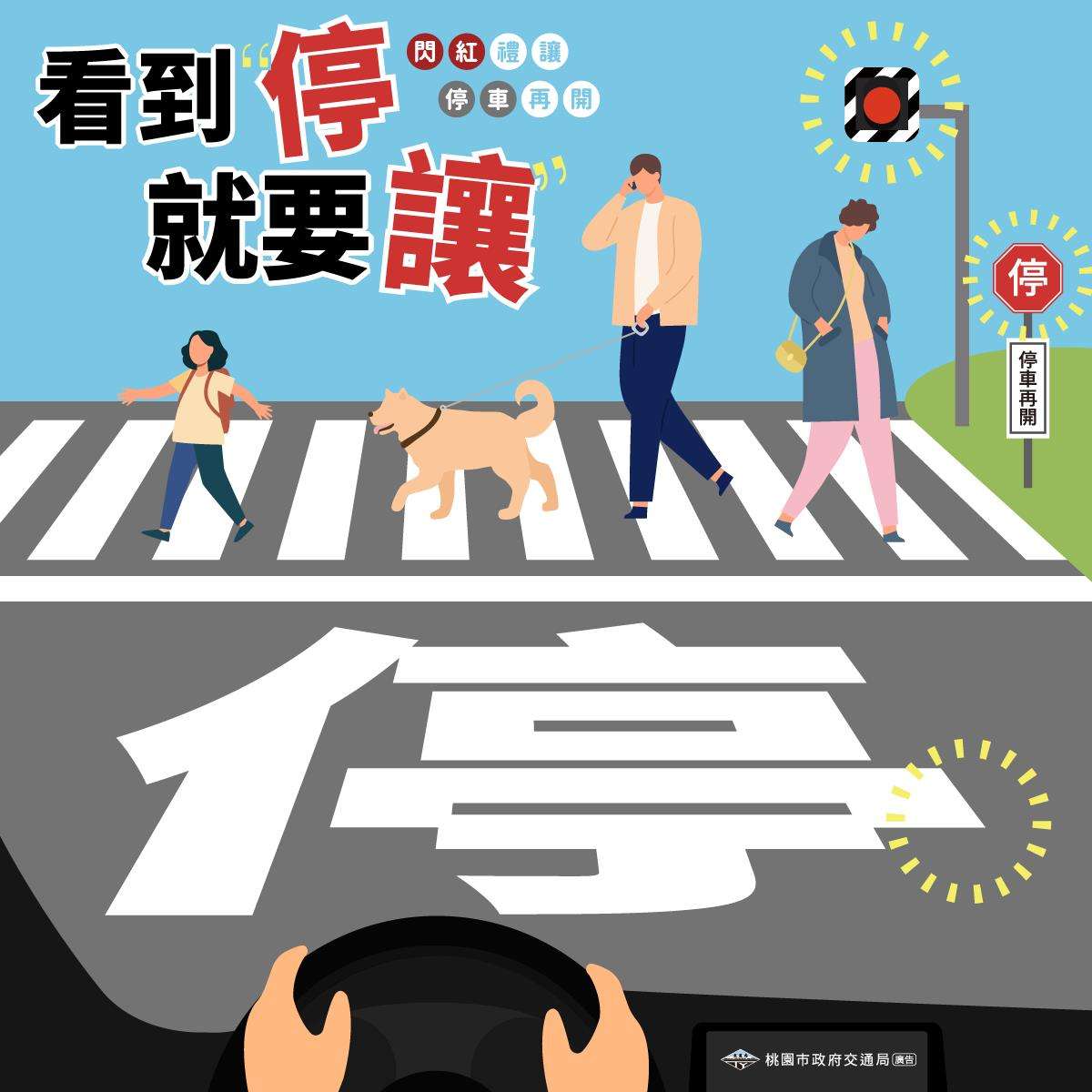 行車有禮行人先行 汽機車駕駛請停讓行人優先通行 交通局3