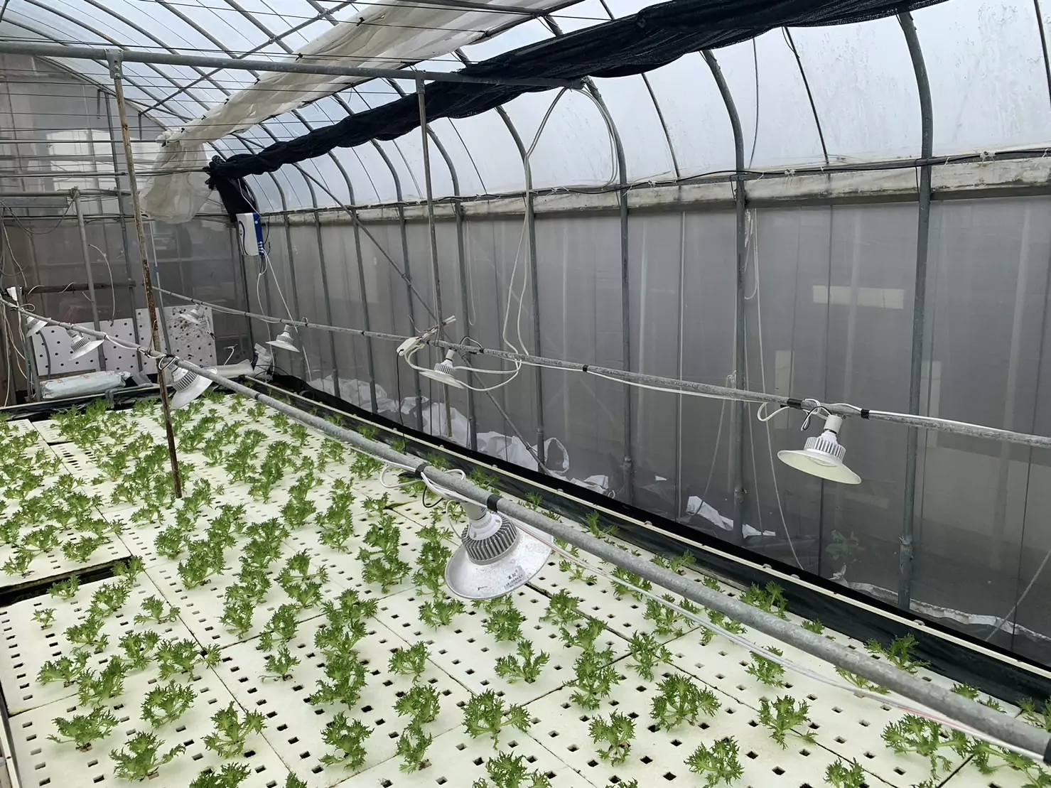 双源魚菜坵共生農場 智慧化溫控建置 0