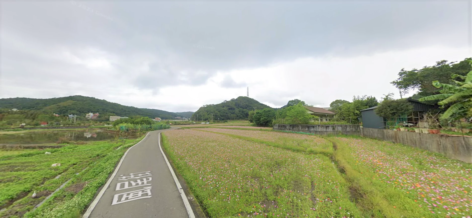 「2023年桃園國際半程馬拉松」12/23登場 三特色路線 日本神野大地熱情來台參賽 「2023年桃園國際半程馬拉松」12/23登場 三特色路線 日本神野大地熱情來台參賽
