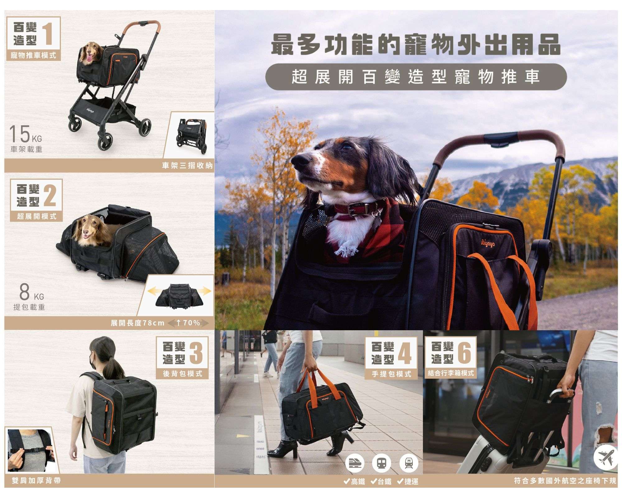 2024花博史上最強萌寵物展1/26~29首創寵物年貨大街 000