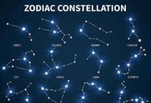 「桃園之星」一週運勢1/22-1/28 雙魚運勢佳