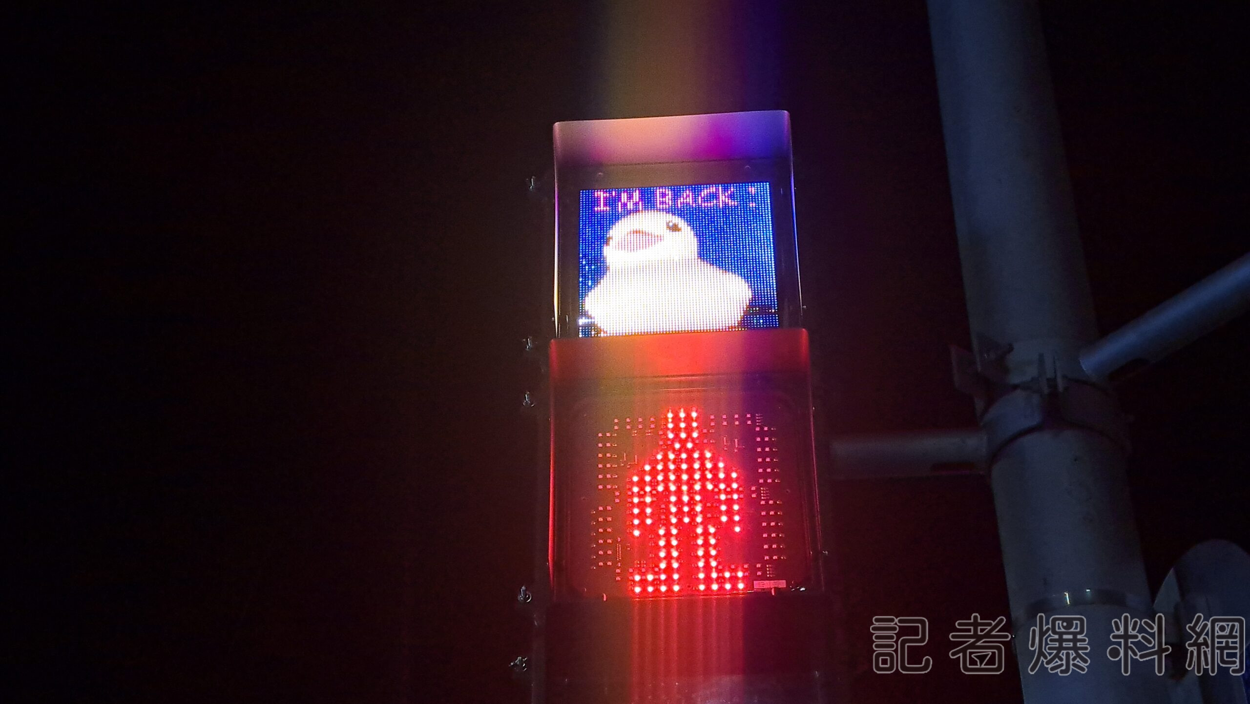 給你滿滿的黃色小鴨 高雄這路口紅綠燈有驚喜