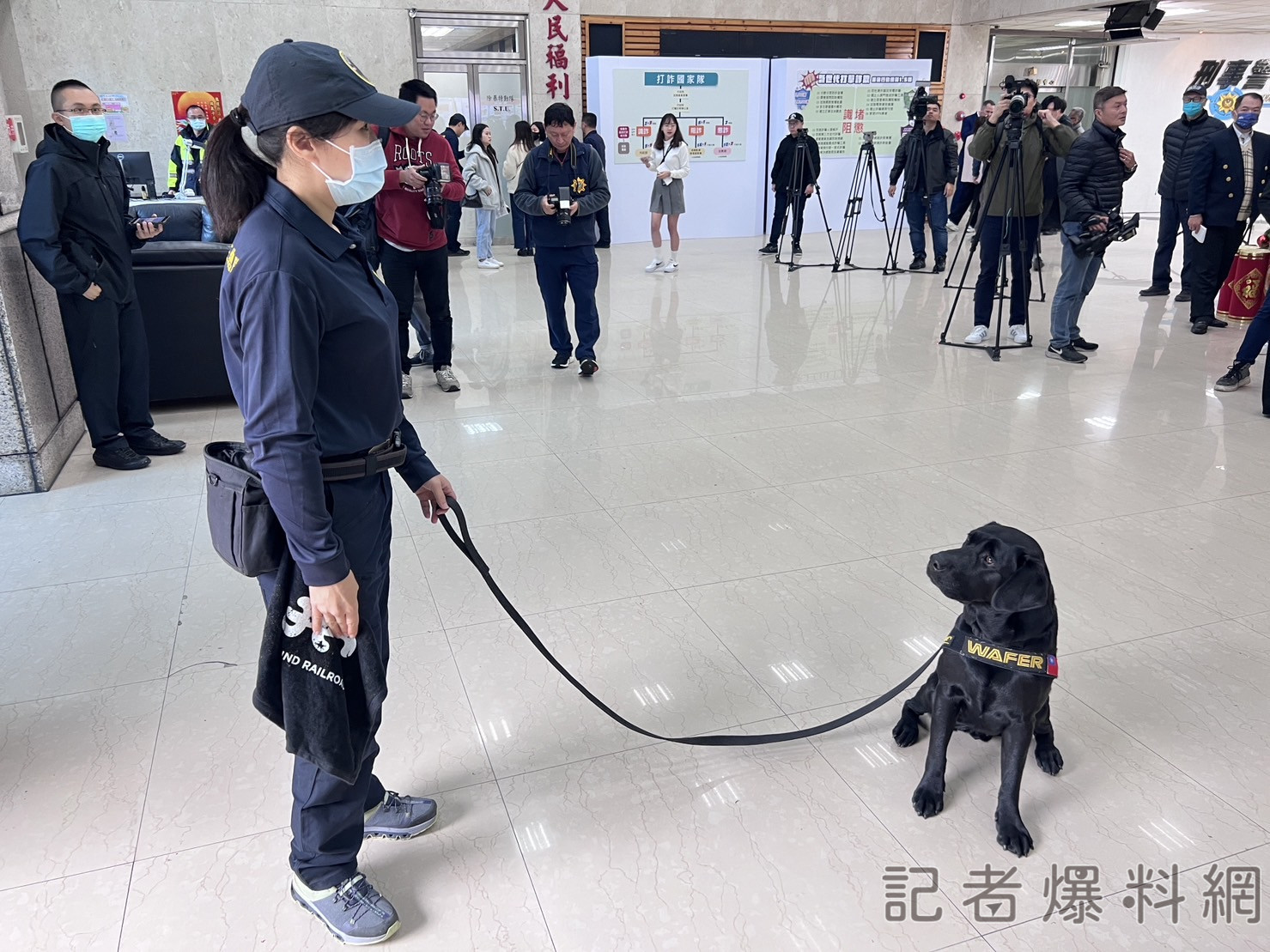 台灣第一隻電子產品偵測犬 WAFER首亮相