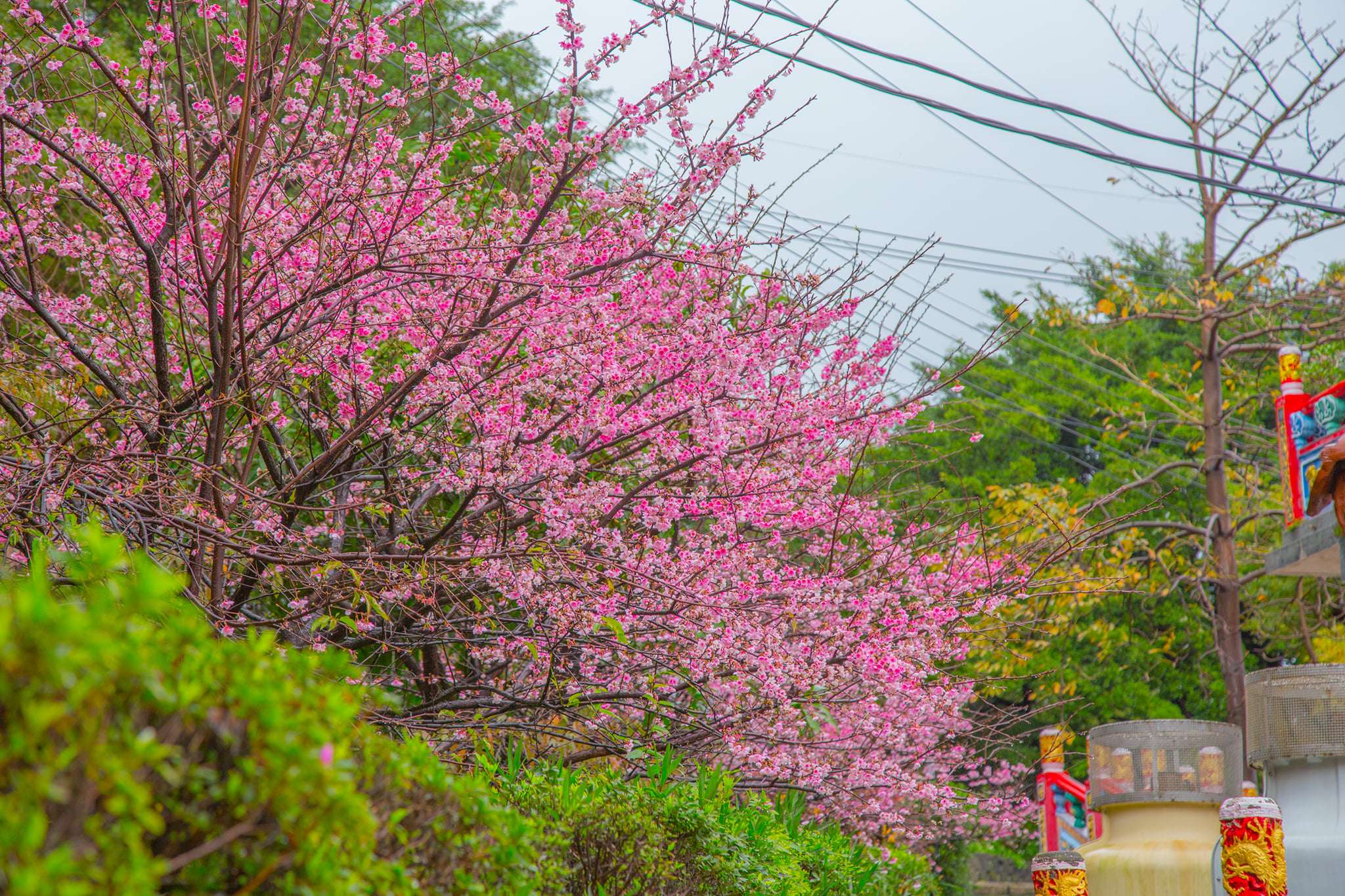 出遊趣/桃園龜山一日遊景點推薦 打卡朝聖NCT在玹雜誌拍攝地 272596731 3796972033861320 5529442789212479653 n