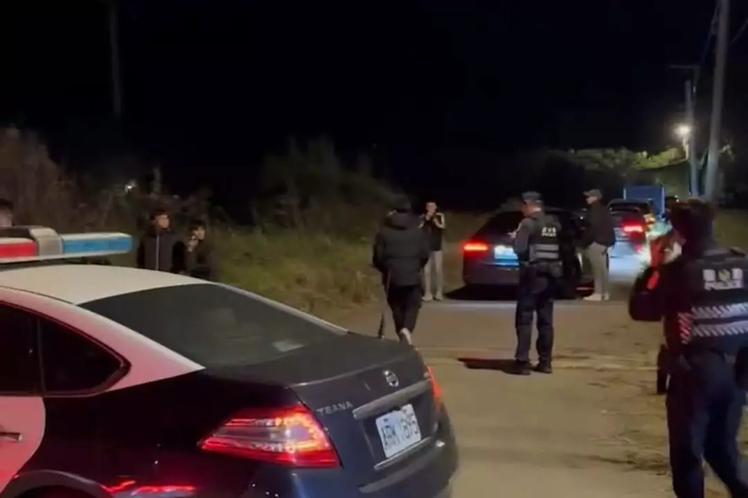 改裝車凌晨車聚擾安寧 大園警取締24件違規 336006