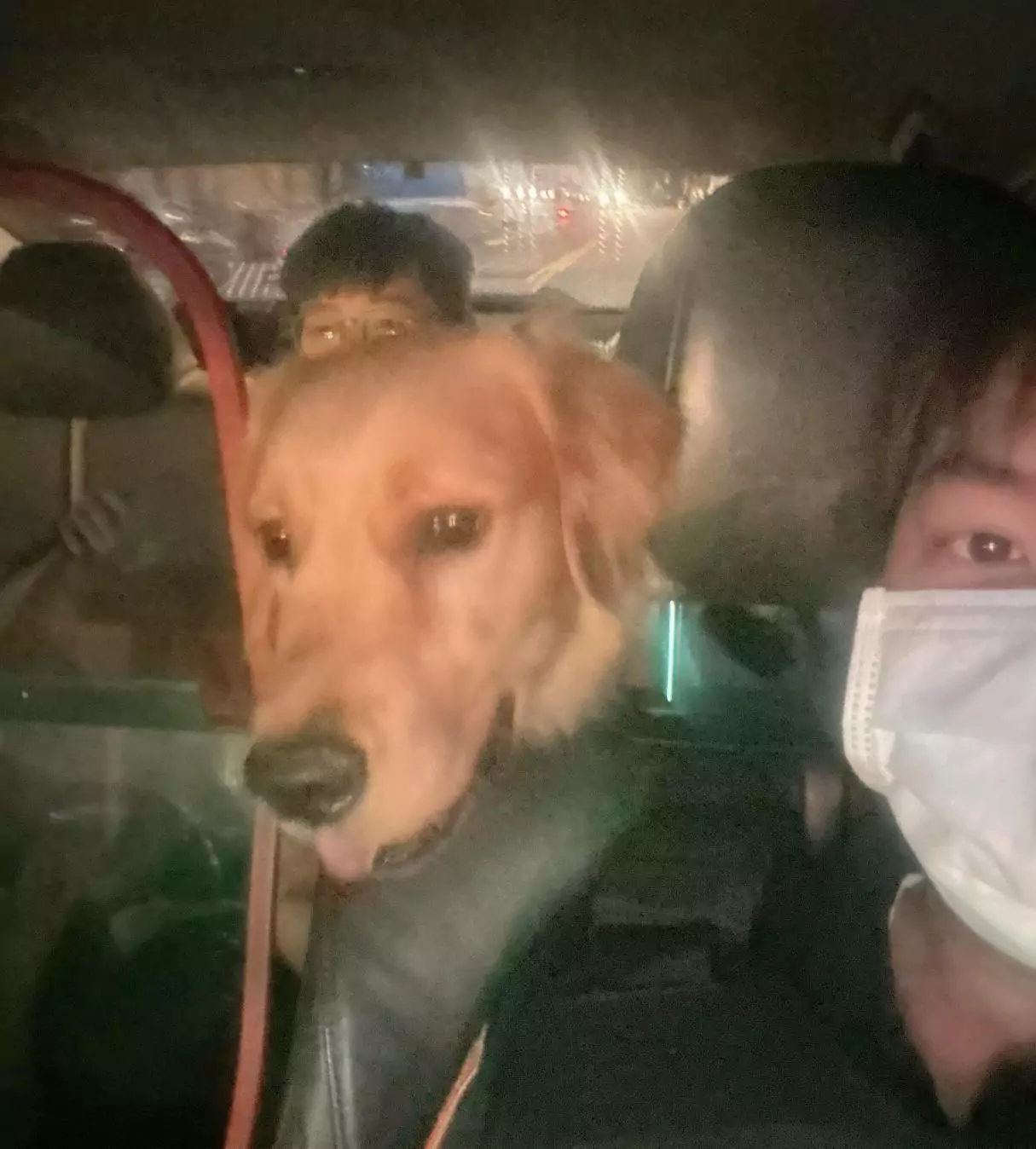 大園狗狗翹家迷路 聰明「抱」警成功返家 338357
