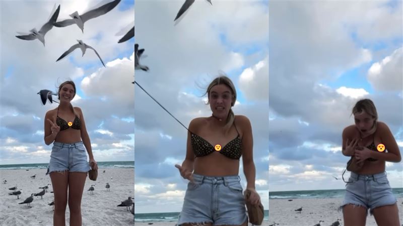 海鷗叼走網紅比基尼 雪白炸出全場嗨爆