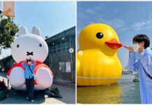 SJ銀赫朝聖黃色小鴨!網笑:高雄觀光大使