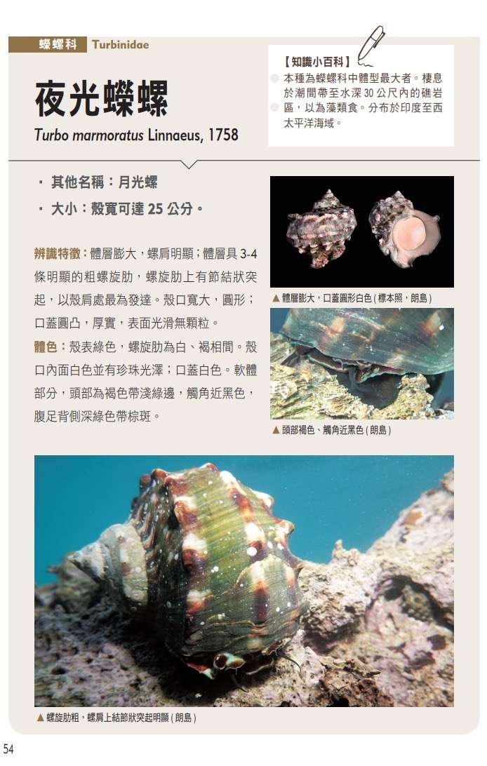 海保署推導覽手冊 帶你認識百種蘭嶼海洋無脊椎動物 591C2B5B 20AC 444F 862A A833D89DED3A