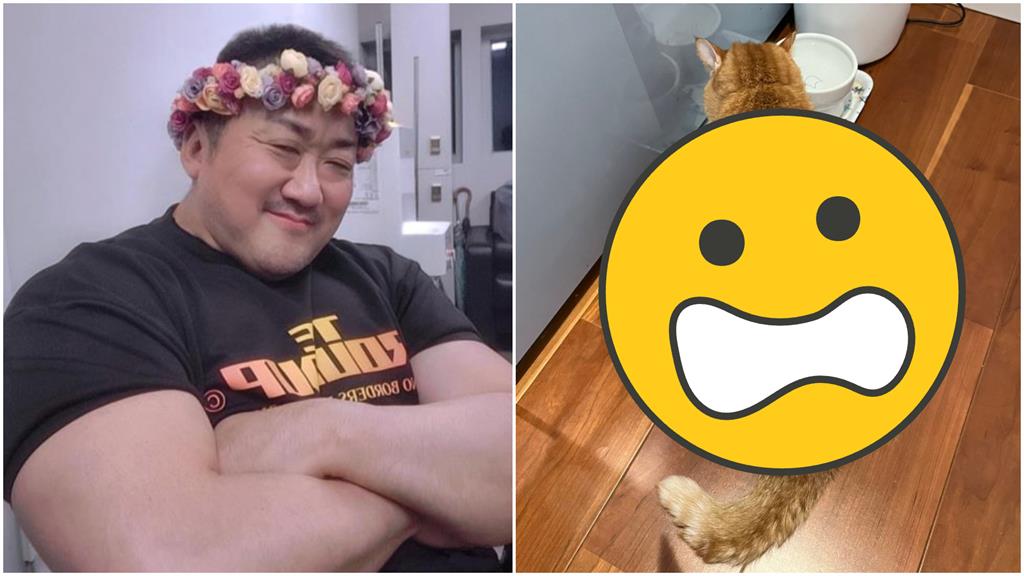 貓咪界「魔鬼筋肉人」?「漢草背影」笑翻網:根本馬東石