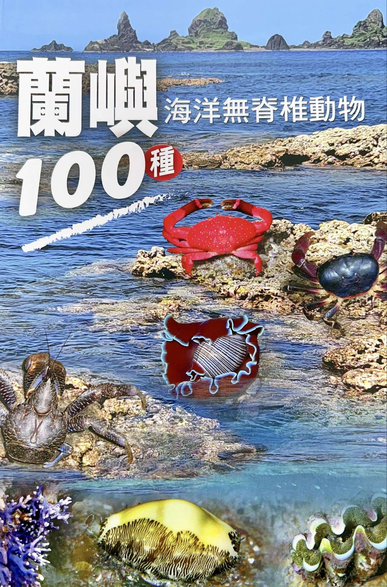 海保署推導覽手冊 帶你認識百種蘭嶼海洋無脊椎動物 E36E978D 726E 4358 9746 08EEEB36D010