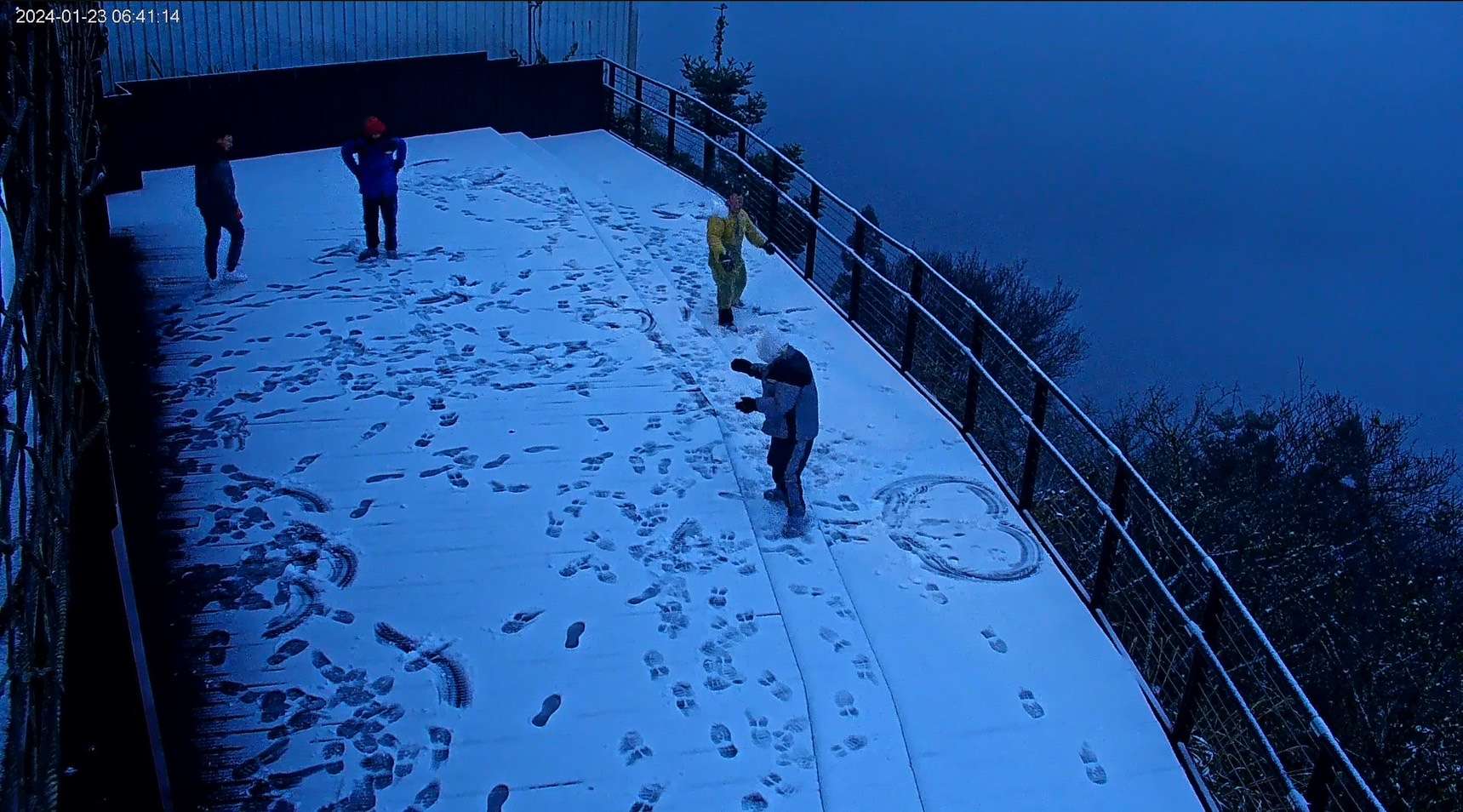 拉拉山下雪了！桃園觀旅局啟用4K即時影像 在家線上追雪