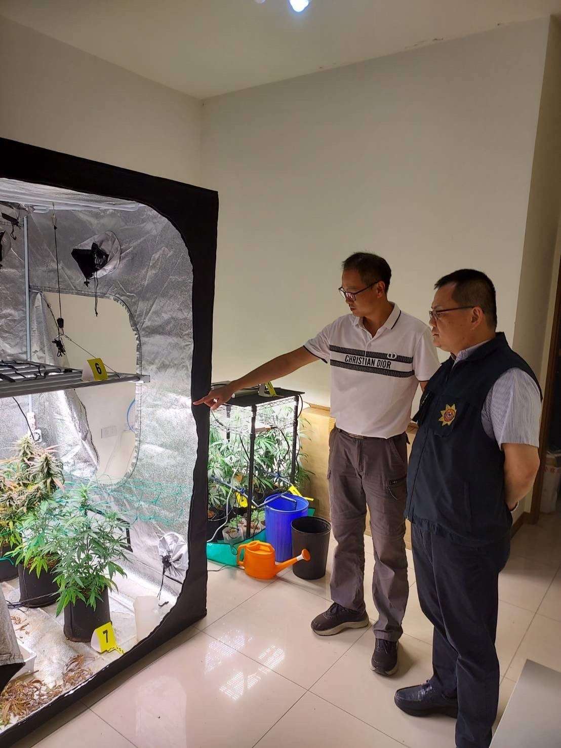 桃警搗破大麻工廠 驚見新品種「國王果汁」 S 88072911 0