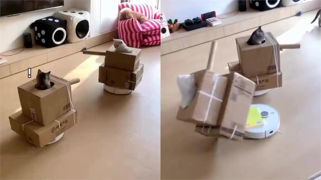 撞到咪咪貓貓!搭掃地機器「坦克大作戰」 迴旋突刺網笑:翻車啦