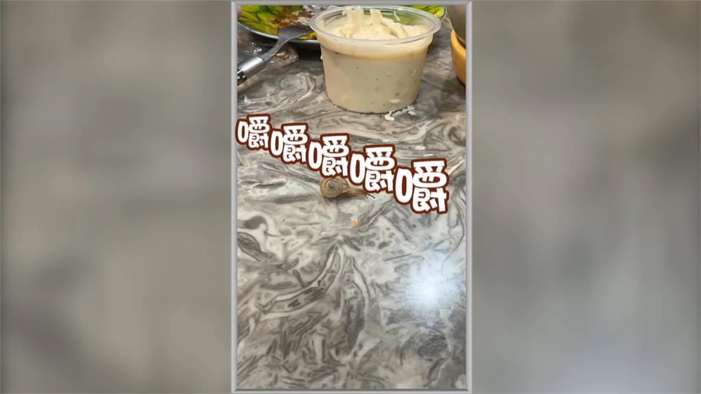 好市多生菜有”蝸牛”!醫師警告千萬別吃