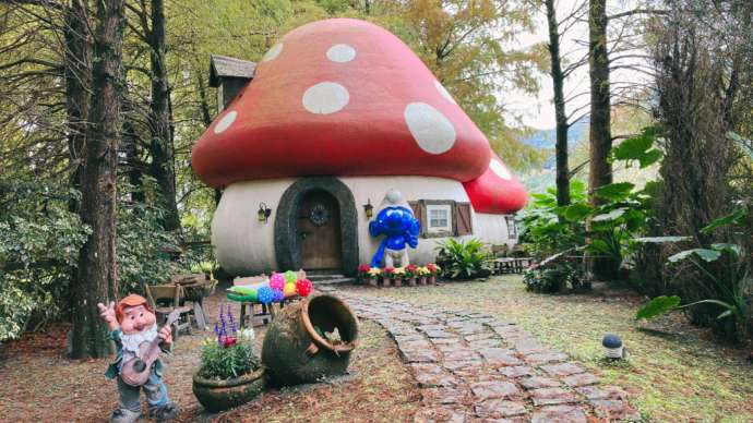 民宿主人為實現自我，打造夢想中的蘑菇小屋與莊園。圖：張雅婷攝