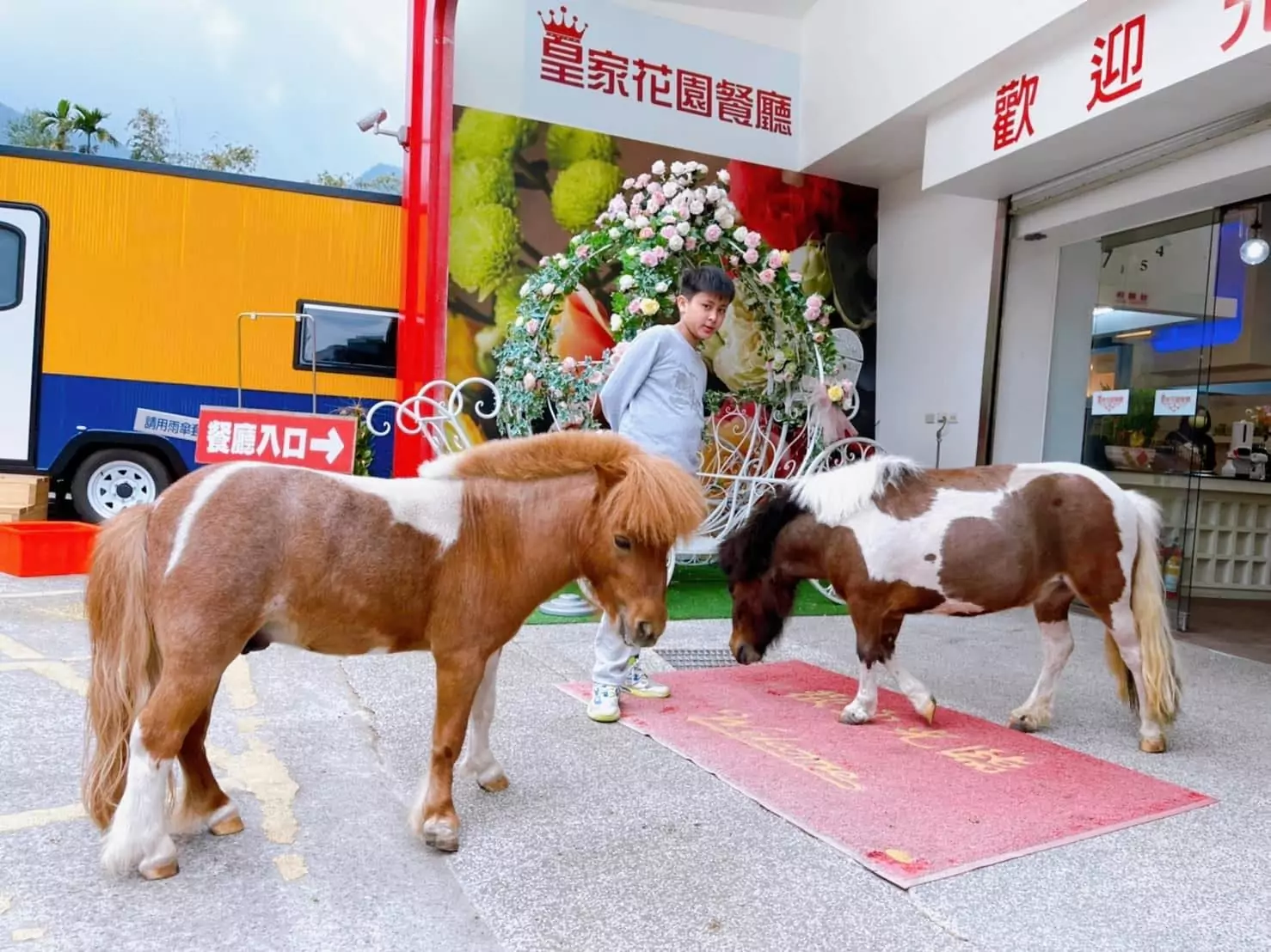 皇家花園小馬