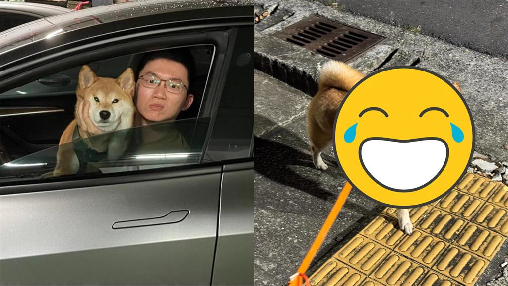 愛犬散步掙脫「追野狗」!視網膜狂奔:以為自己是晚安小雞