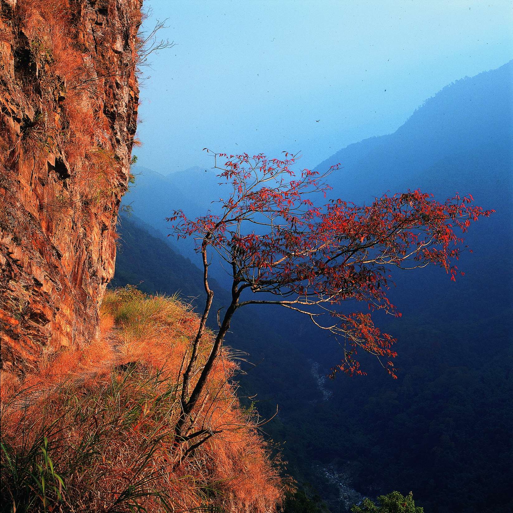 龍年走春景點!到玉山國家公園飽覽自然風光 認識原民文化 415421444