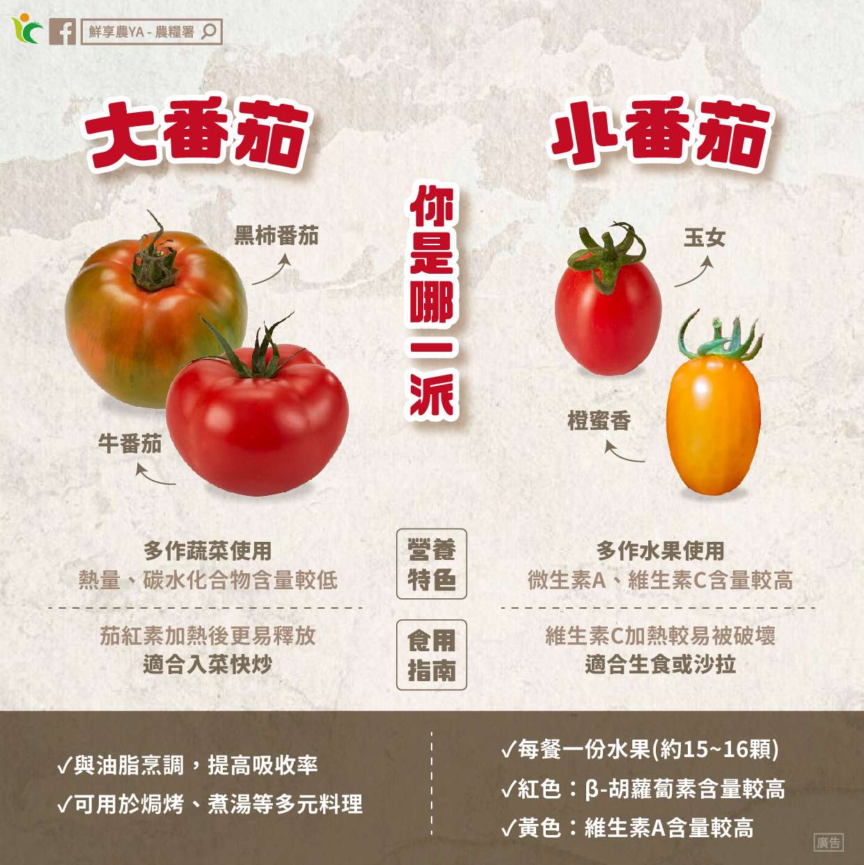 大、小番茄比一比!營養特色、食用指南看這邊 420172110 696968622581771 2825816903701111533 n 1