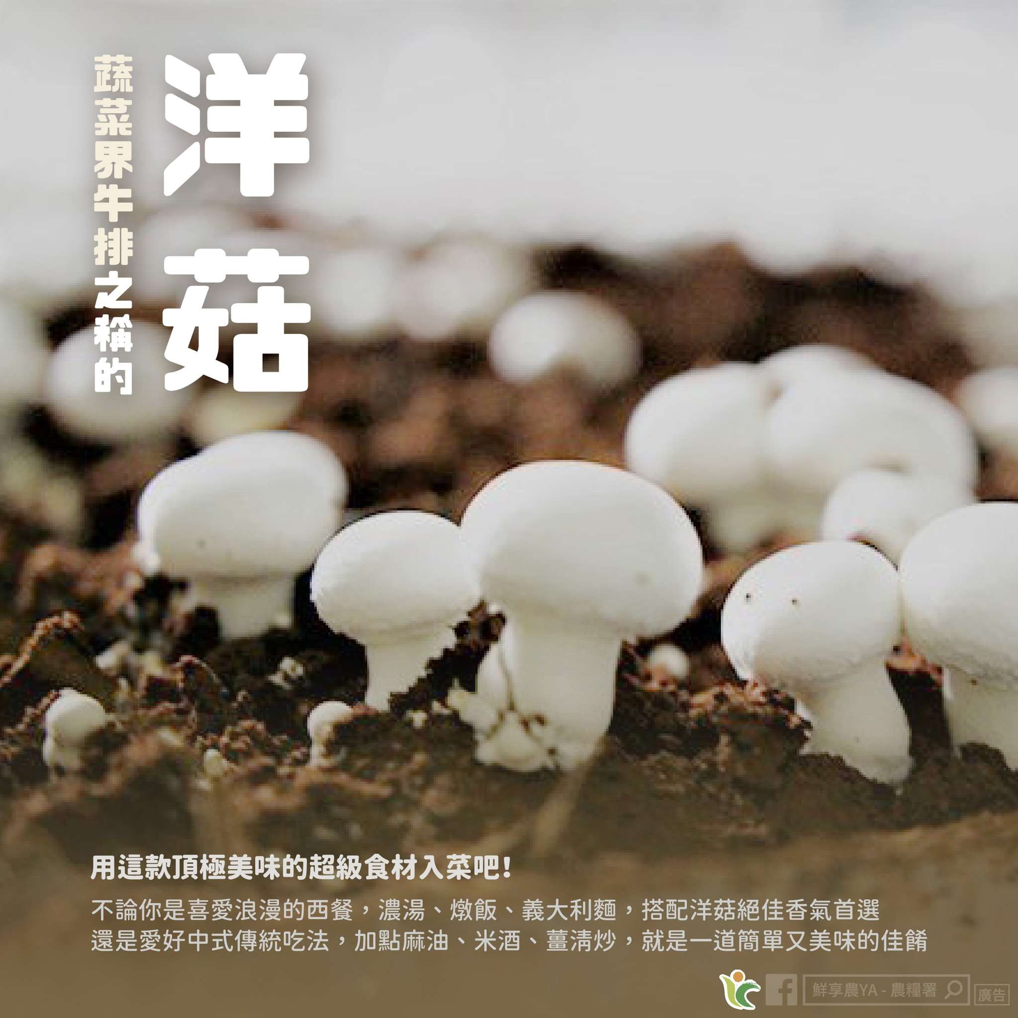 蔬菜界的牛排是它!富含鐵質、高蛋白質又低脂 422900003 705552868390013 2298727044490843364 n
