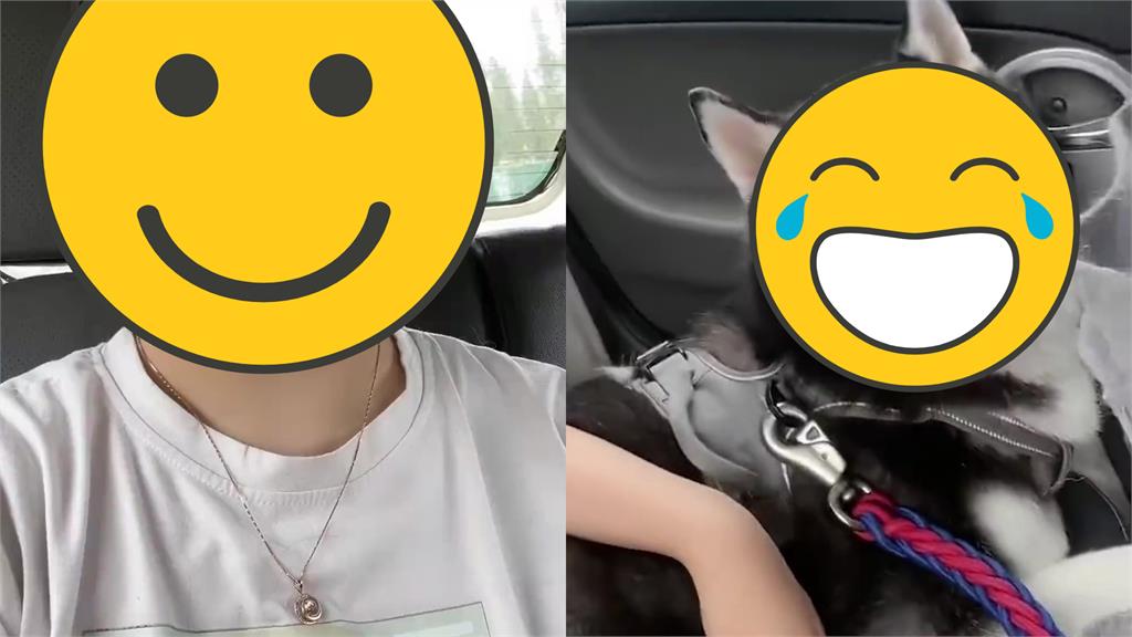 共乘竟遇「燦笑哈士奇」買2位搭車!超Q畫面網羨慕:還附贈摸摸