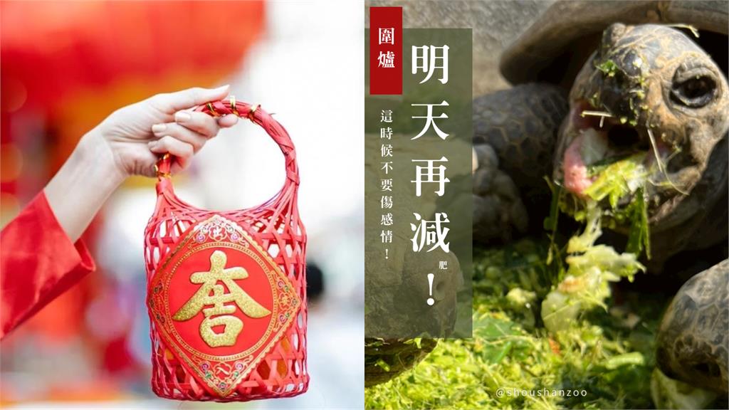 壽山動物園曬「萌萌習俗懶人包」!每隻表情都超傳神