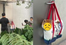 飼主急上廁所「袋裝柴犬」掛門口!遭圍觀狂打卡「表情無奈炸裂」