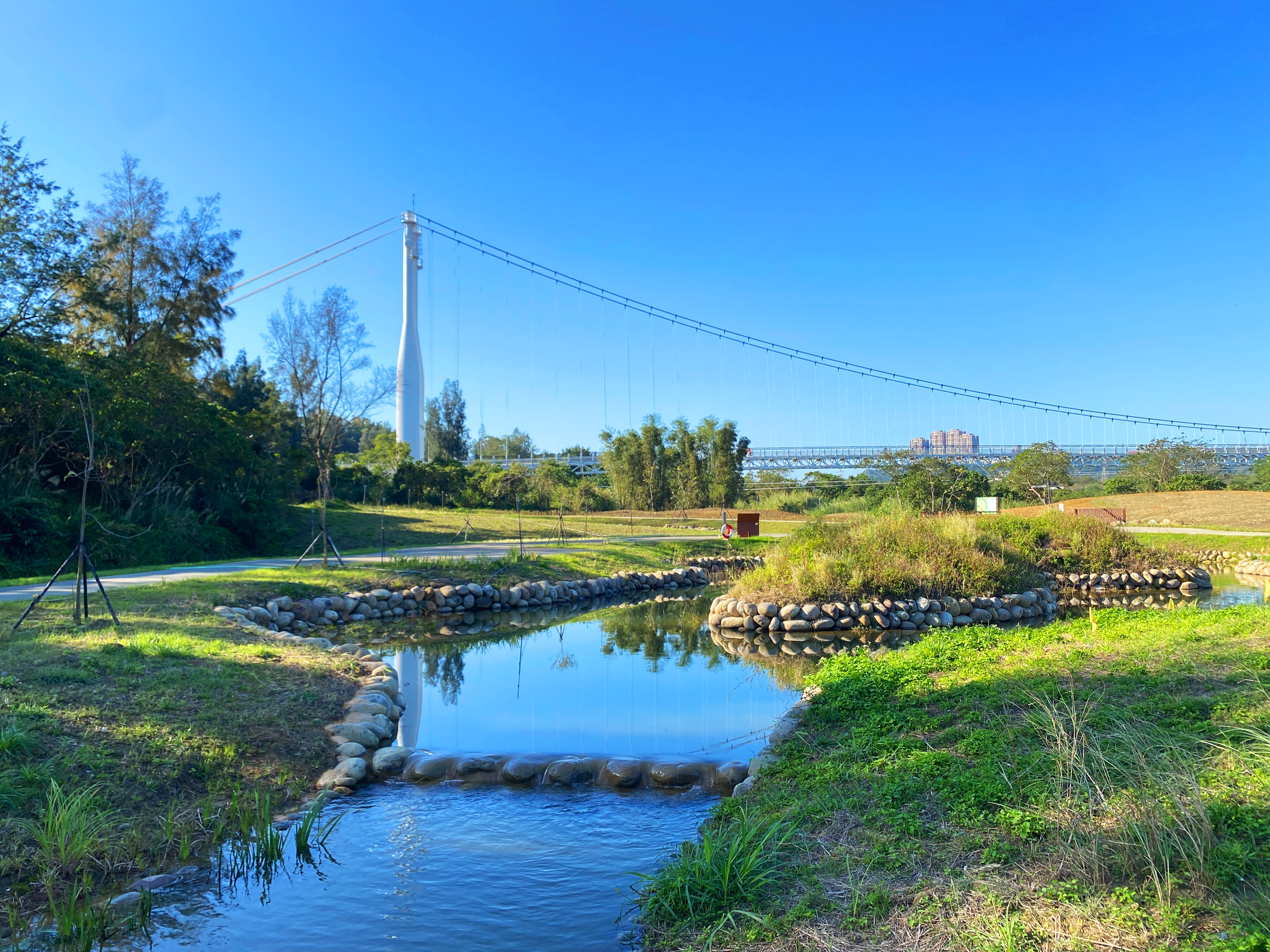 山豬湖生態親水園區今起開放　兩大風景線等你來體驗