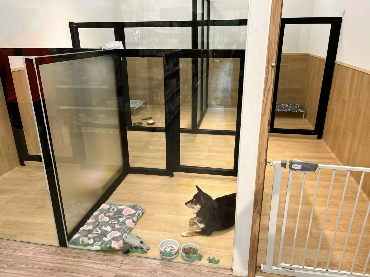 春節出遊寄放寵物選哪裡?桃園動保處合法寵物旅館名單出爐 春節出遊寄放寵物選哪裡?桃園動保處合法寵物旅館名單出爐