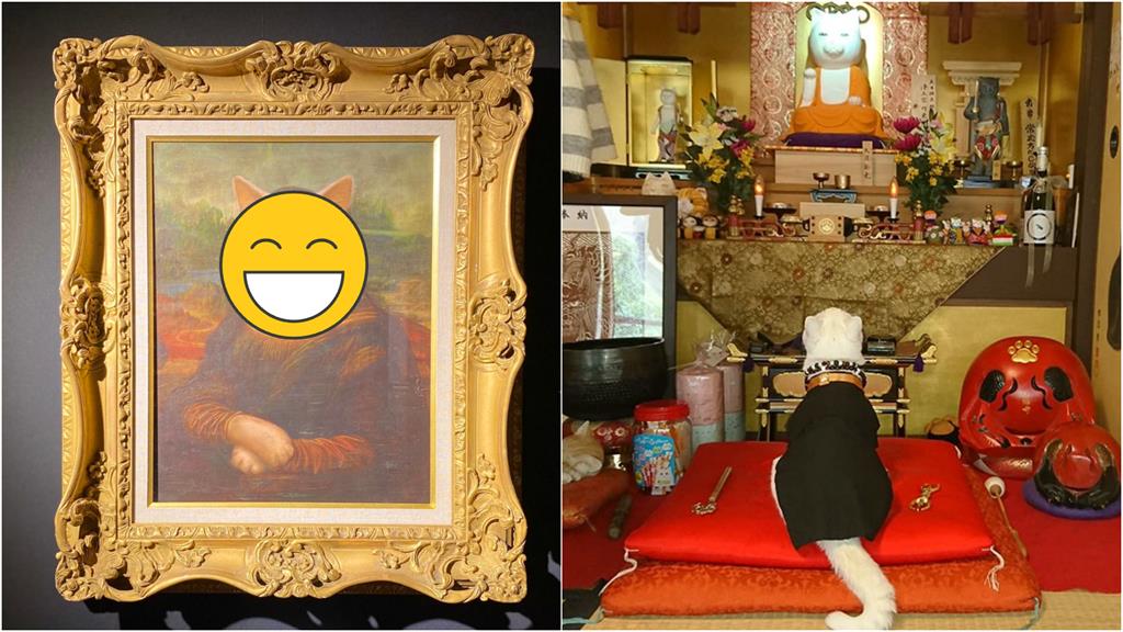 貓奴必去聖地+1!京都貓貓寺「住持、沙彌全是貓」超療癒