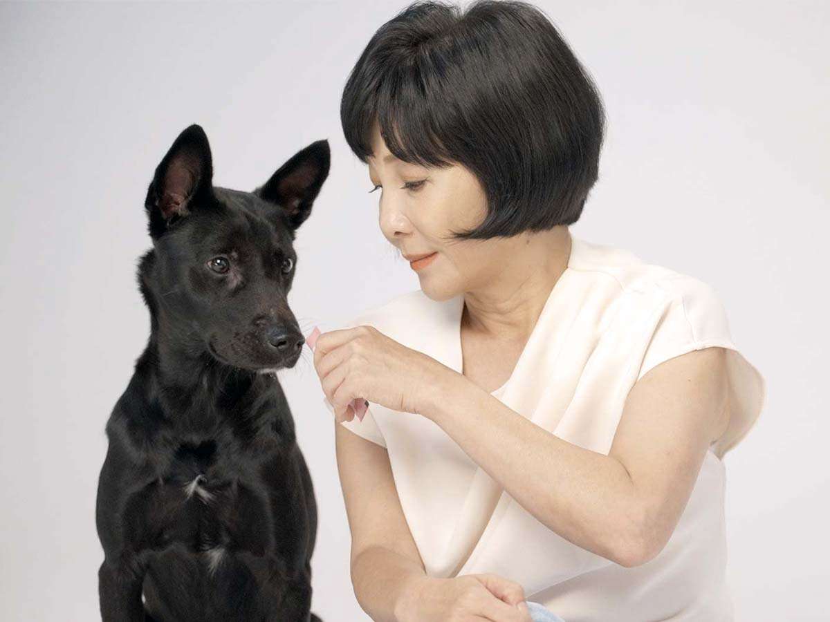 吳淡如:飼養毛孩不簡單 曾因「這個」一度崩潰! 圖三