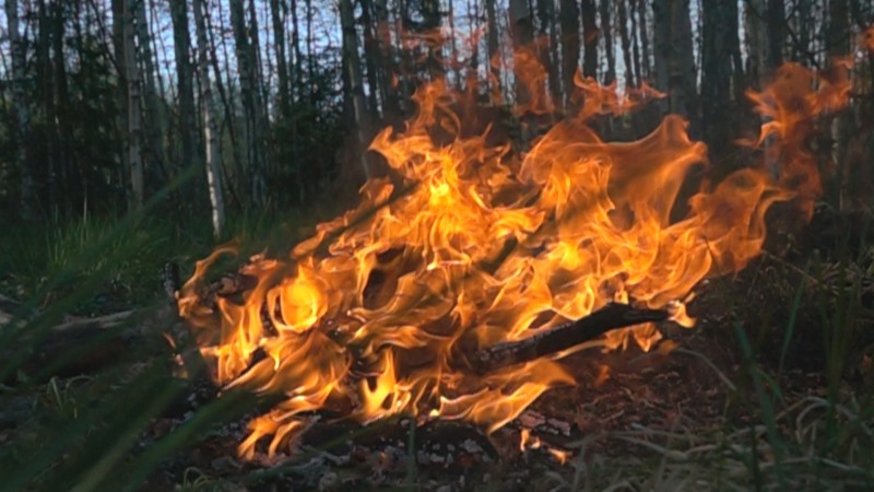 清明掃墓不用火 誠心平安慎防災