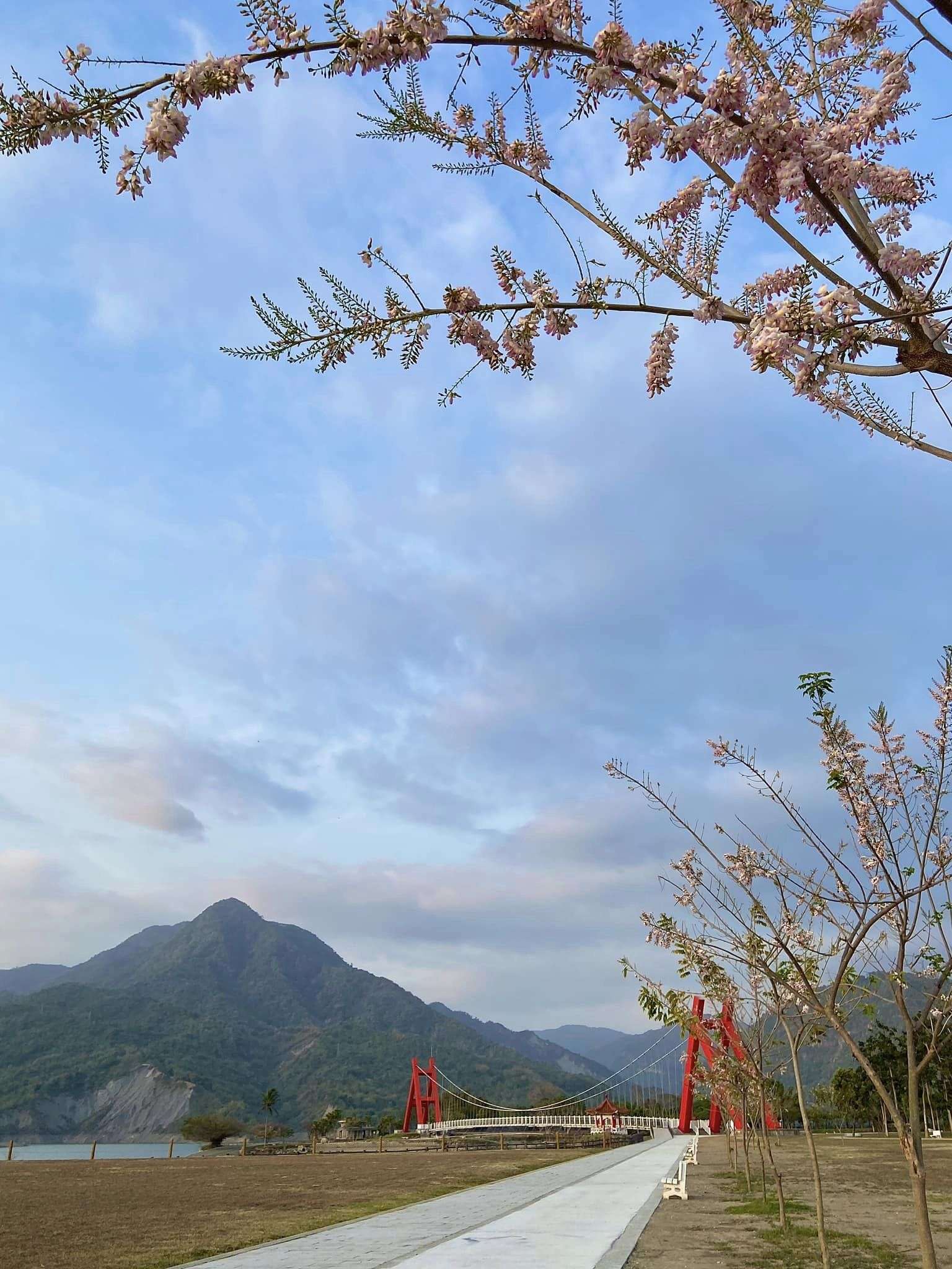 副刊/位於群山間河谷地的嘉義大埔 0321馬頭山情人吊橋