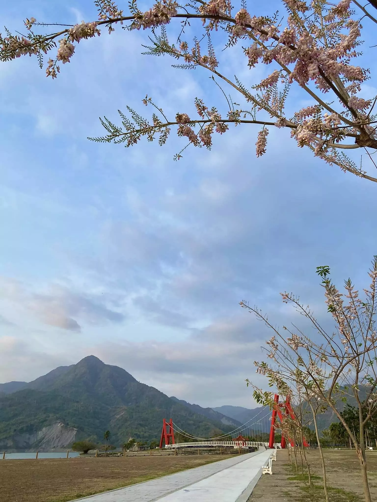 0321馬頭山情人吊橋