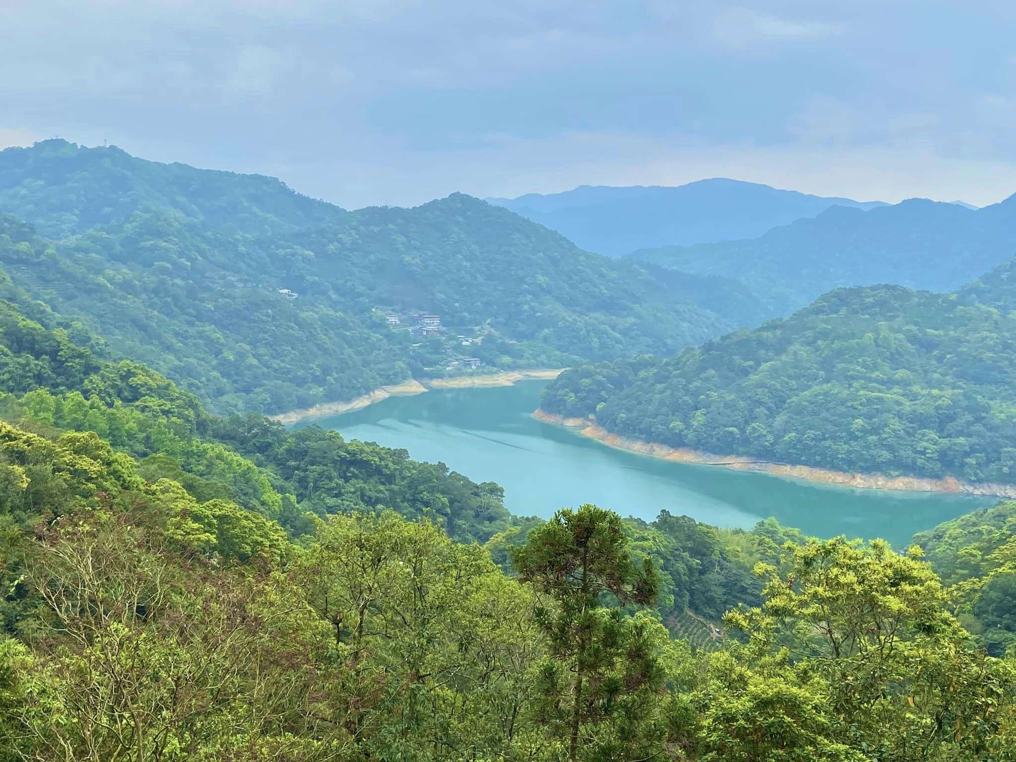 副刊/渡船過潭步道迴 ,千島湖碧茶園青 0331千島湖山與樹