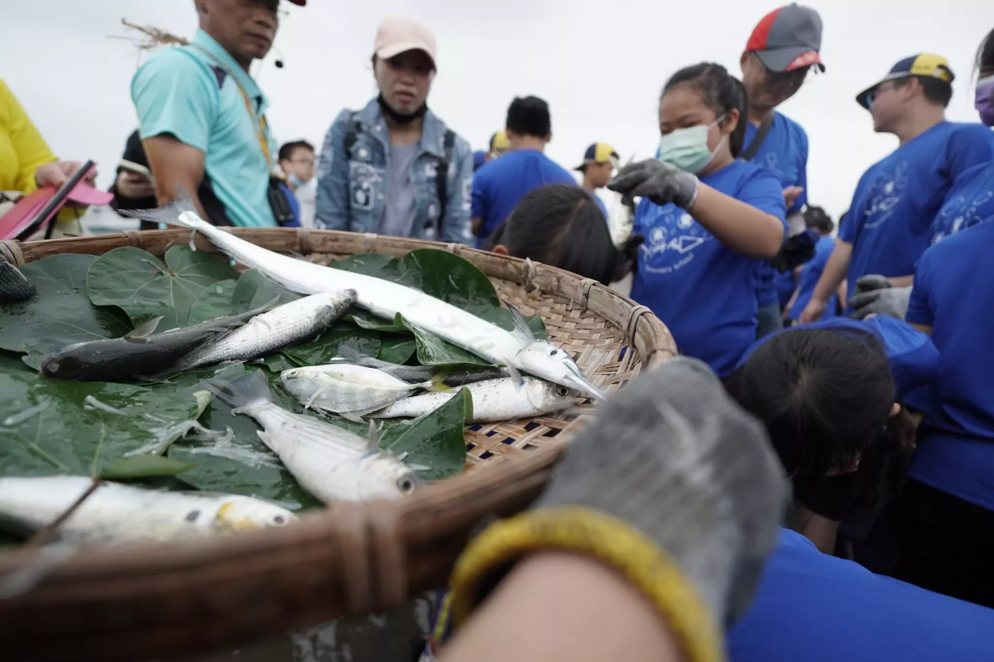 桃園環保局推廣海洋環境教育 「里海學堂」3/15報名開跑 桃園環保局推廣海洋環境教育 「里海學堂」3/15報名開跑