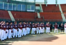 中職重回6隊規模 官辦熱身賽門票中午開搶