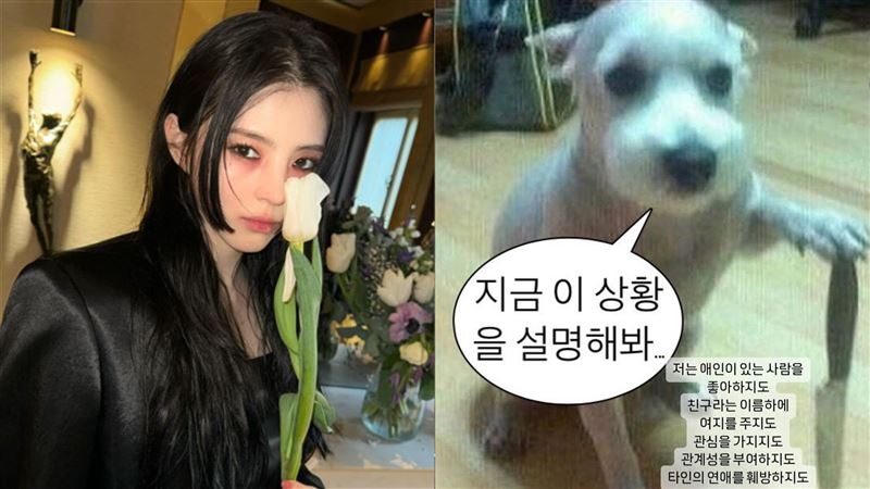 韓韶禧連掉2代言!受創關鍵是因為「狗」