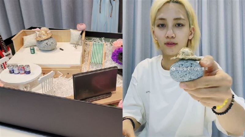 南韓人過勞養石頭!男偶像寵物上國際新聞