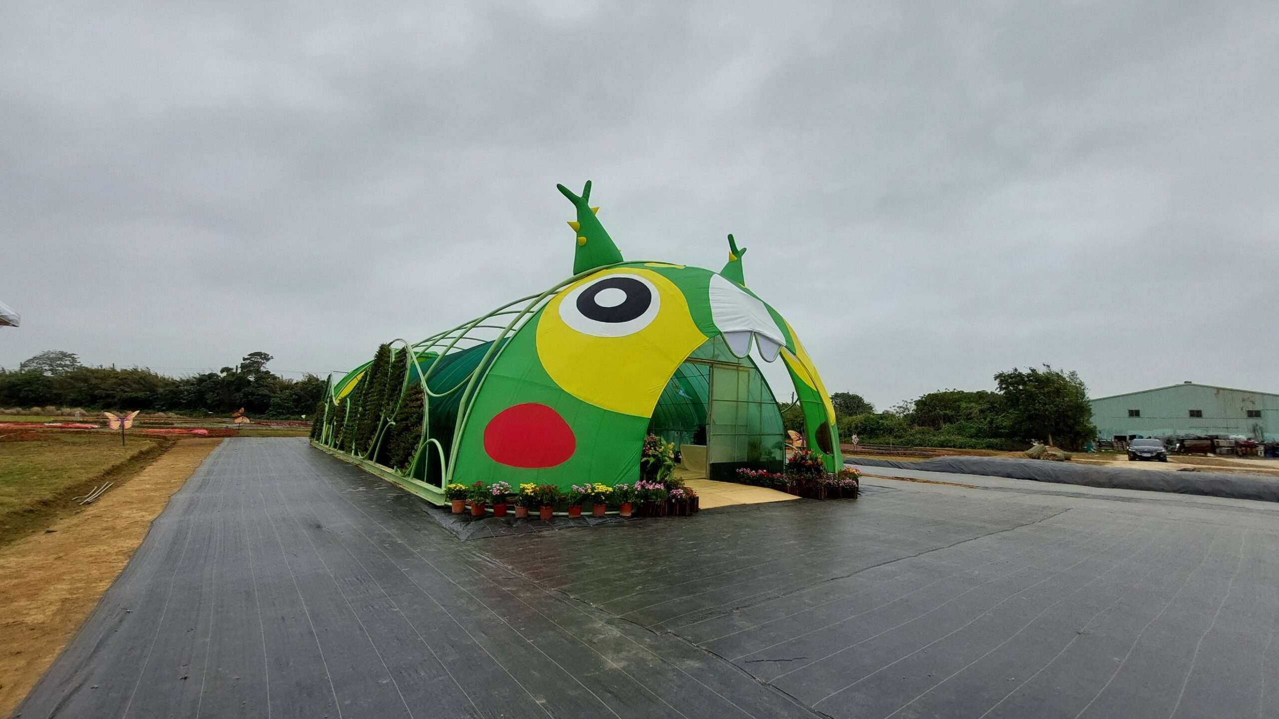 桃園溪海花卉農遊趣 「偽出國」四季花間網紅美照拍不完 892697 0 scaled