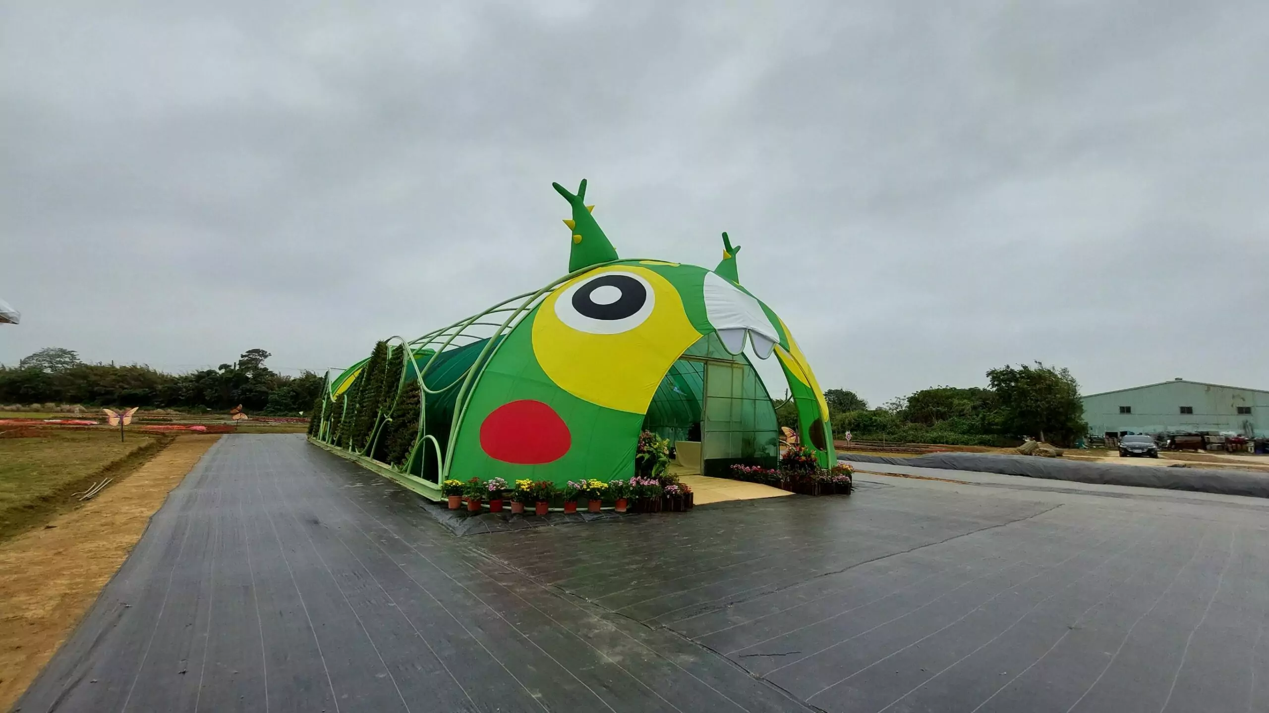 桃園溪海花卉農遊趣 「偽出國」四季花間網紅美照拍不完 892697 0 scaled