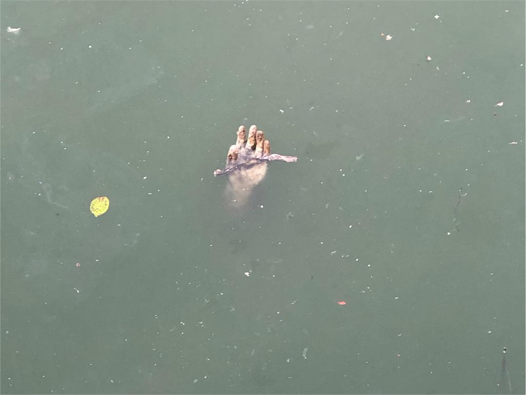 泰國河面飄「詭異斷掌」嚇壞民眾!警方1招秒揭真相