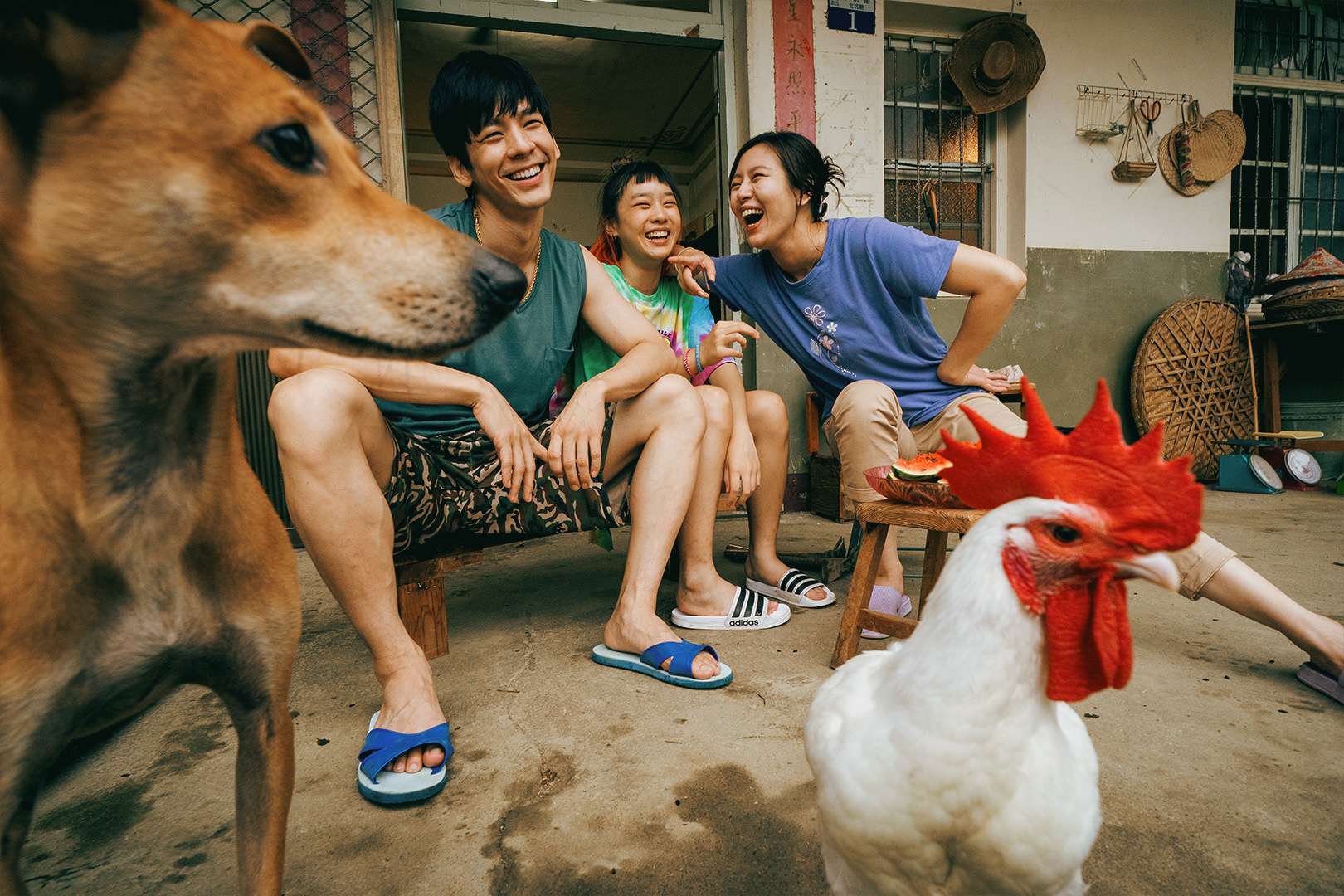 喜劇國片「莎莉」4/3上映 桃園這地方也入鏡 AAAA