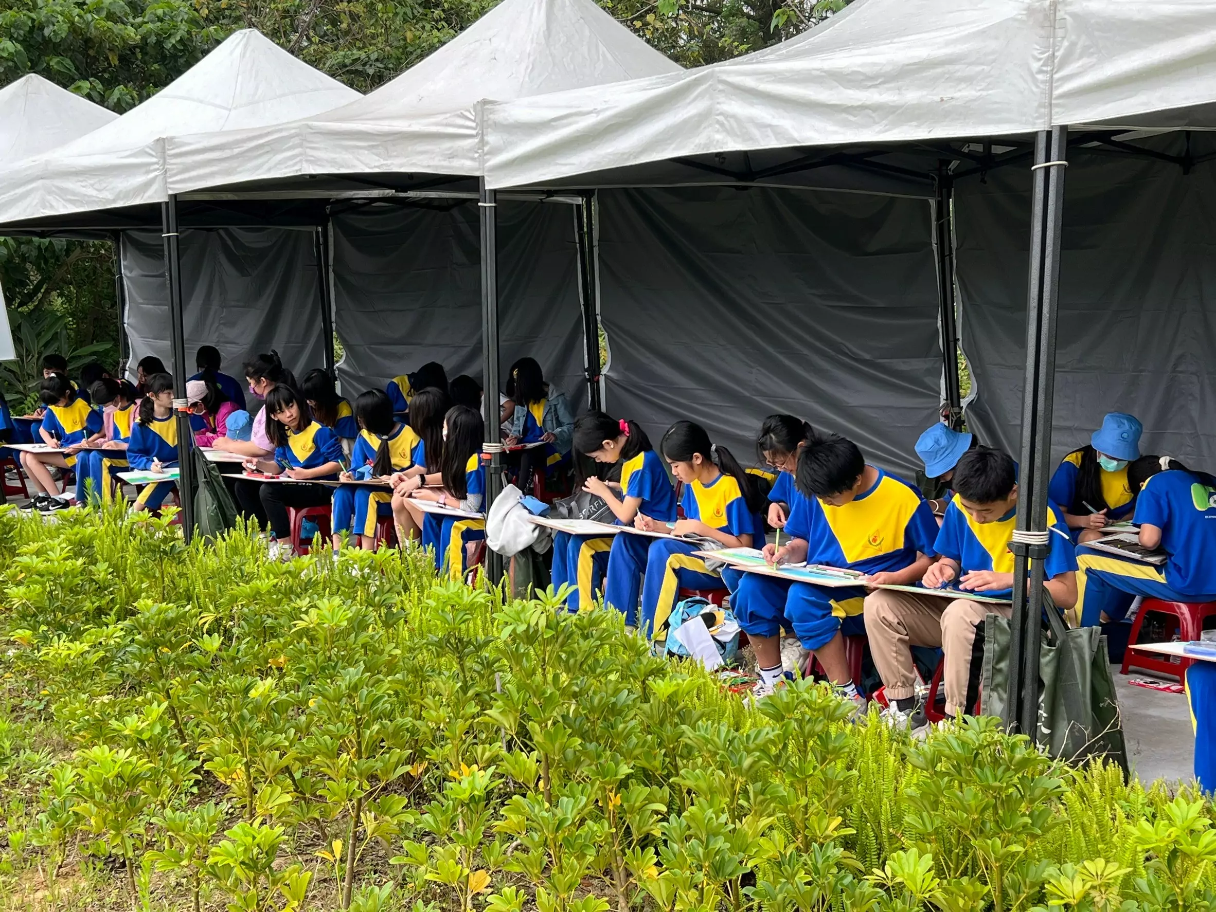 桃水務局建構多功能環境教育場址 邀國小學子漫遊瑞興濕地 桃水務局建構多功能環境教育場址 邀國小學子漫遊瑞興濕地